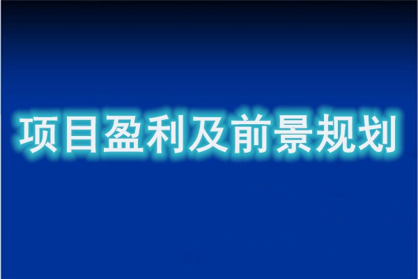 宣城企业风险定量及CAMPARI要素分析报告介绍